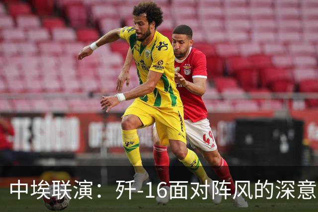 中埃联演：歼-16面对阵风的深意